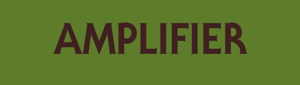 Amplifier Sponsor Level